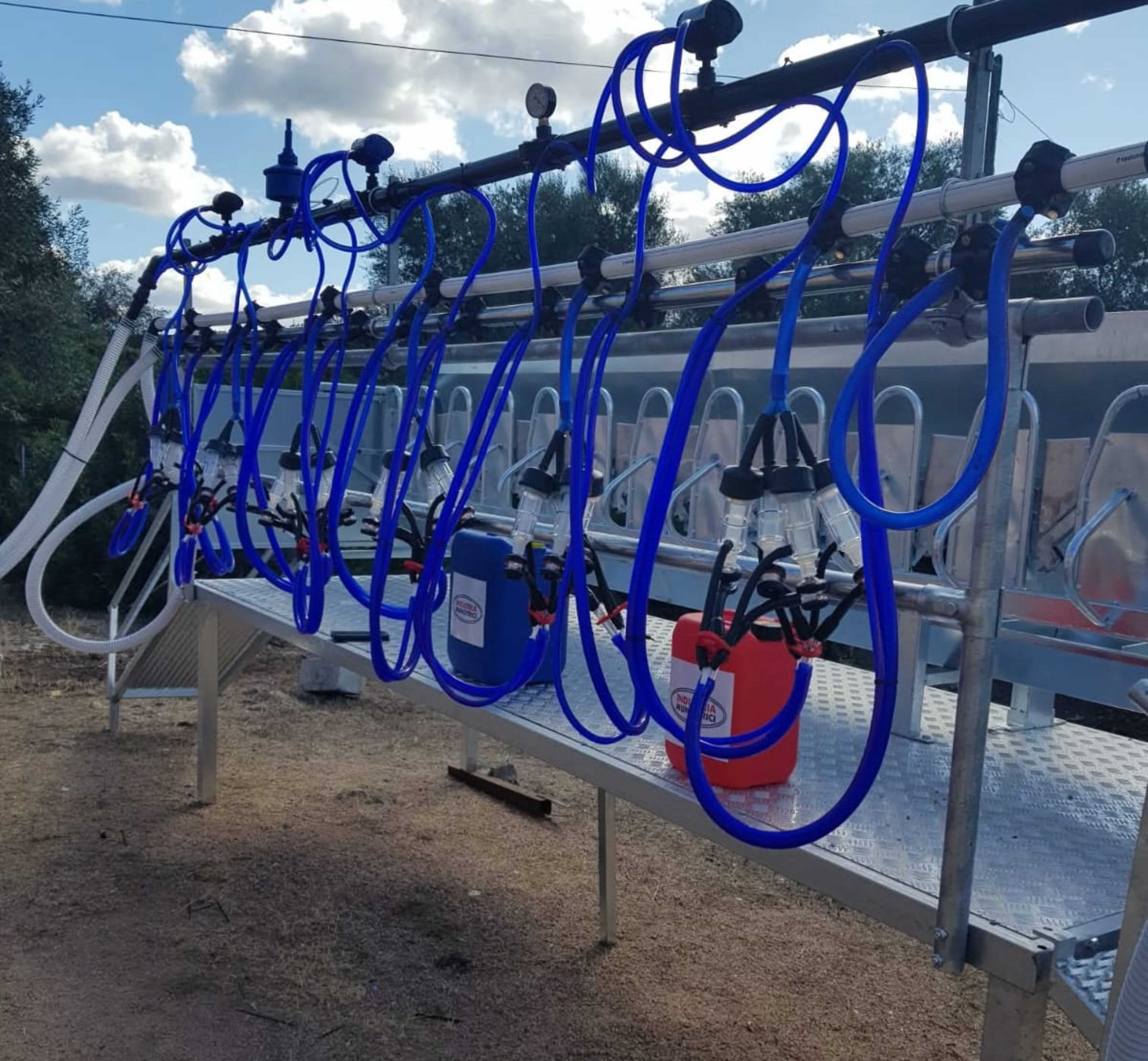Palco completo di mungitura 12 posti e 12 gruppi